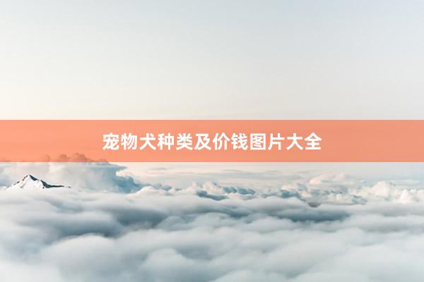 宠物犬种类及价钱图片大全