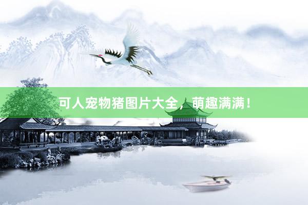 可人宠物猪图片大全，萌趣满满！