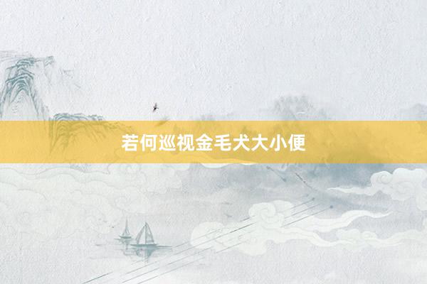 若何巡视金毛犬大小便