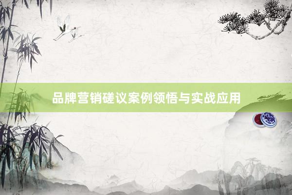 品牌营销磋议案例领悟与实战应用